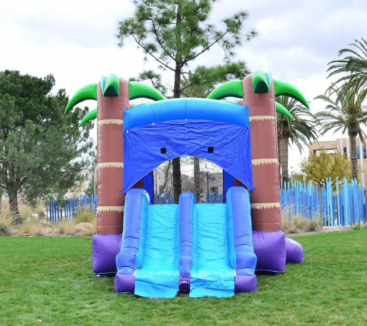 Enchanted Forest Bounce House Combo (DRY ONLY)