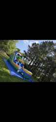 IMG 7036 1746904438 15' Tropical Marble Water Slide (Inflated Landing) (Wet/Dry)